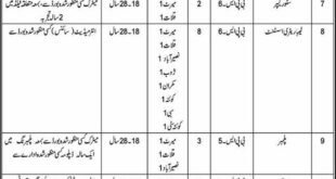 Agriculture College Panjgur Jobs